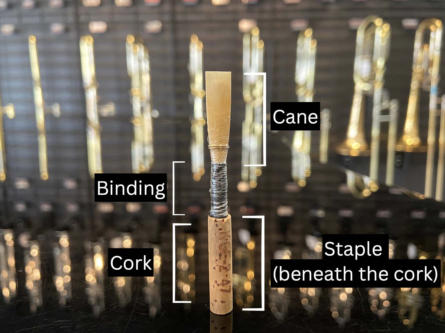 Diagram of an oboe reed. Top of the reed is the cane. The binding is in the middle, and the cork is at the bottom. The staple is beneath the cork.