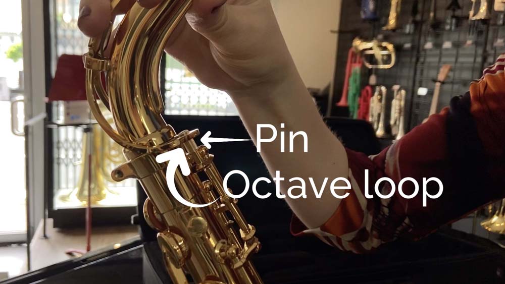 Close up of top of saxophone body and saxophone neck with arrows pointing to pin and octave loop.